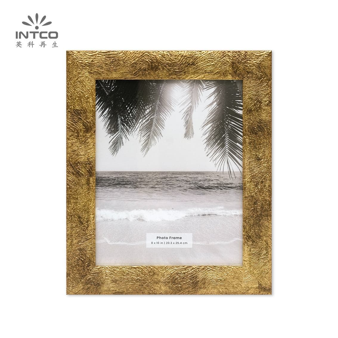 Brushed Metal Elegance Frame Brushed Metal Elegance Frame