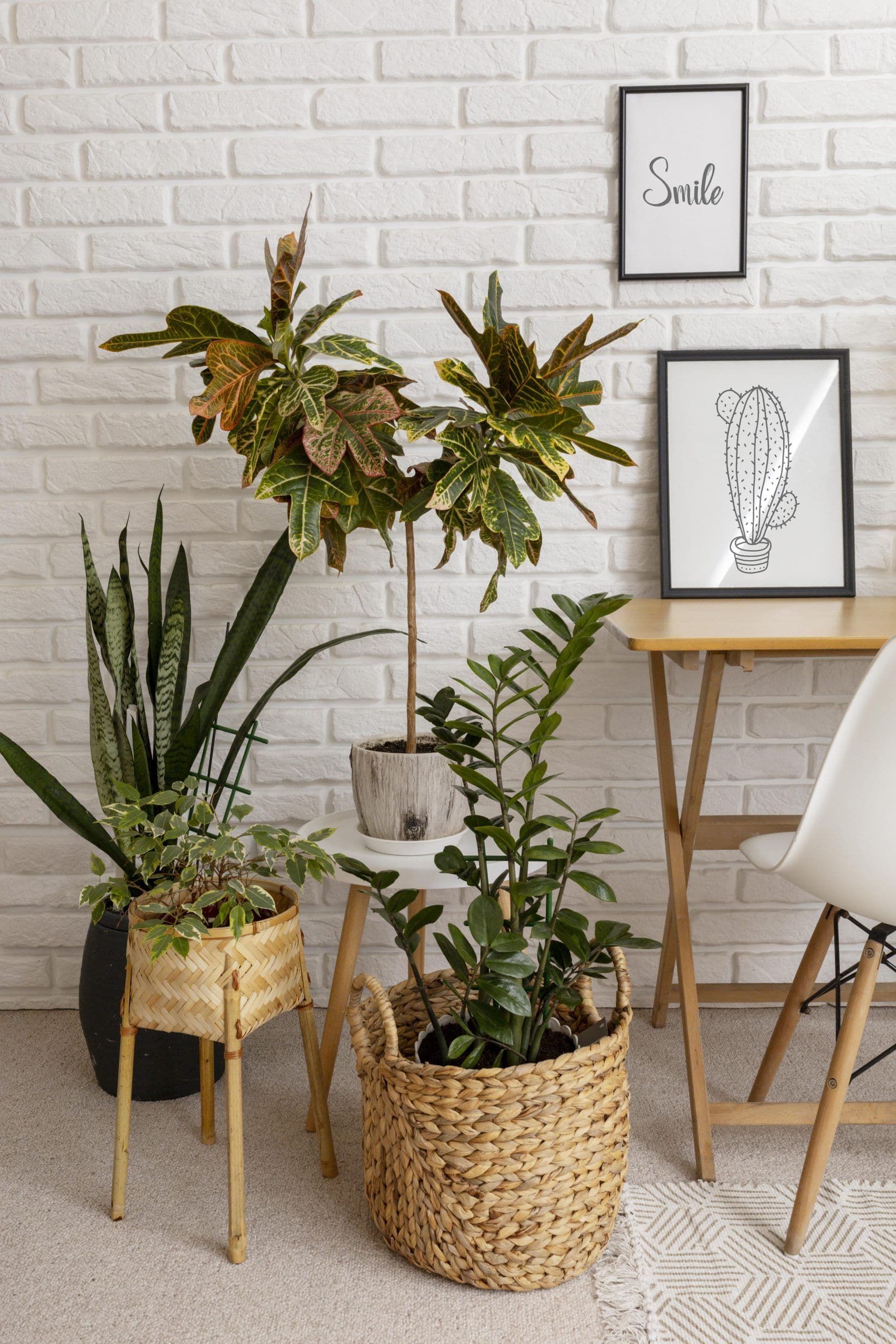 Tips for Installing Picture Frames in Your Home