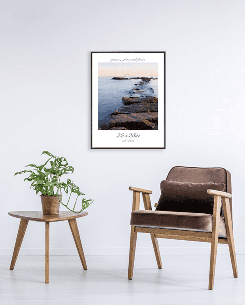 Poster Frame Poster Frame