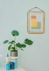 Top Frame Design Trends in 2025 for Interiors and Art Galleries