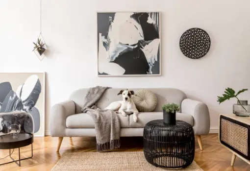 Shadow Box Art: Elevating Modern Wall Decor with Sophisticated Layers